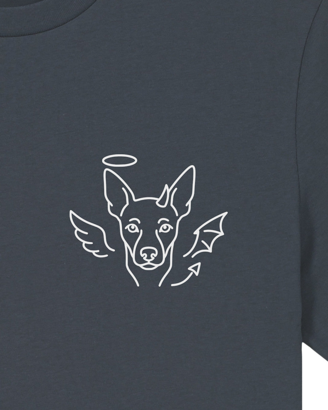 Detailbild – Halo & Horns - Zwergpinscher