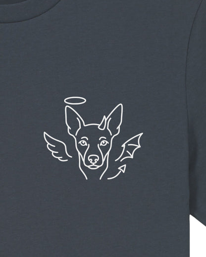 Detailbild – Halo & Horns - Zwergpinscher