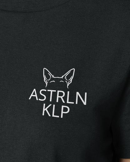 Detailbild – Metaplasmus - Australian Kelpie