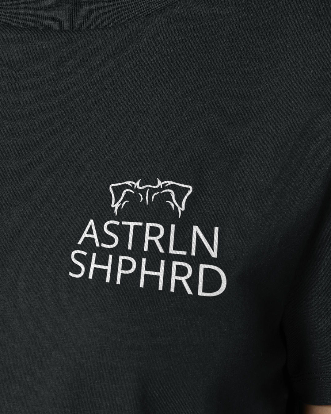 Detailbild – Metaplasmus - Australian Shepherd