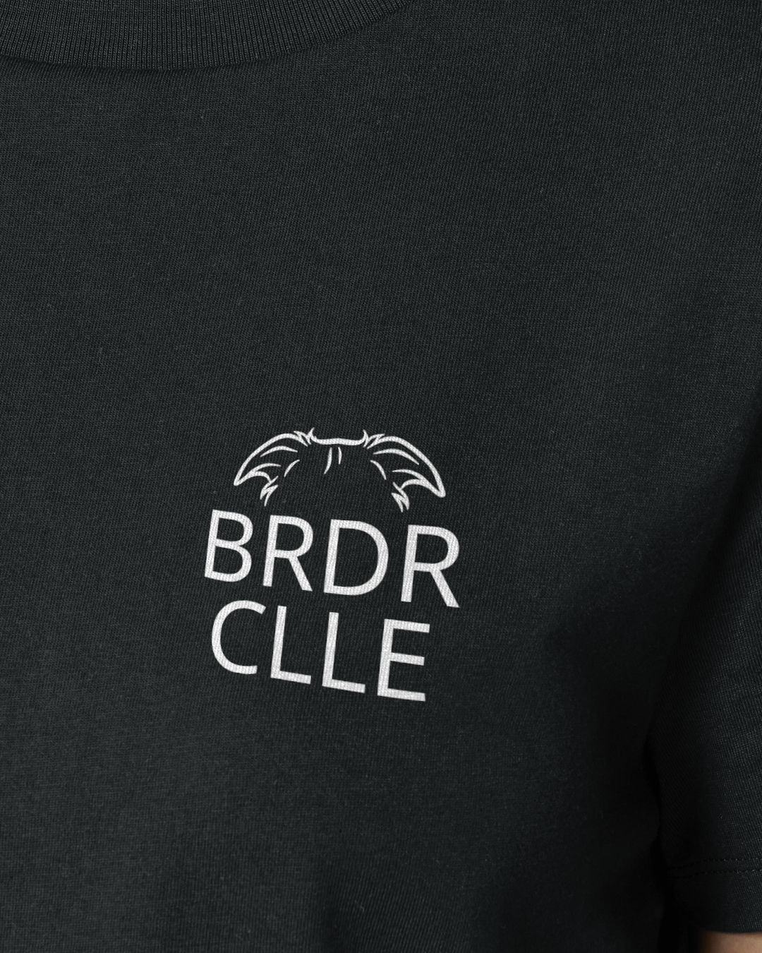 Detailbild – Metaplasmus - Border Collie