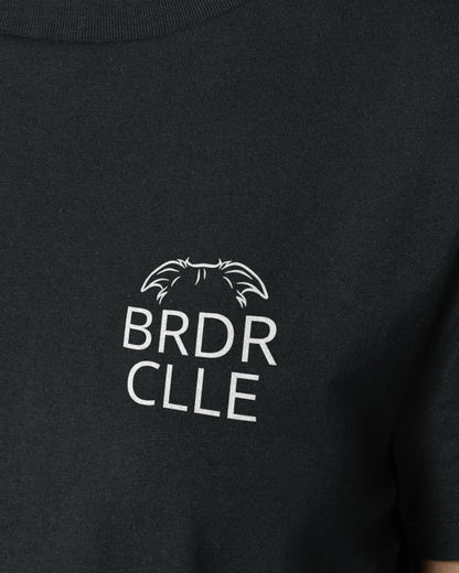 Detailbild – Metaplasmus - Border Collie
