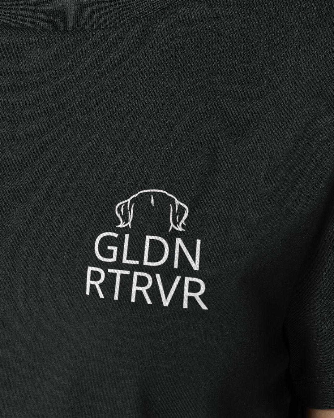 Detailbild – Metaplasmus - Golden Retriever