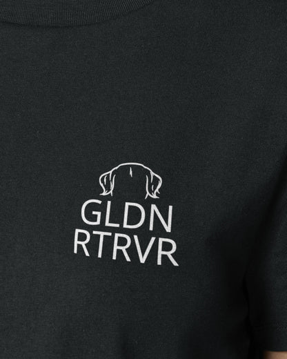 Detailbild – Metaplasmus - Golden Retriever