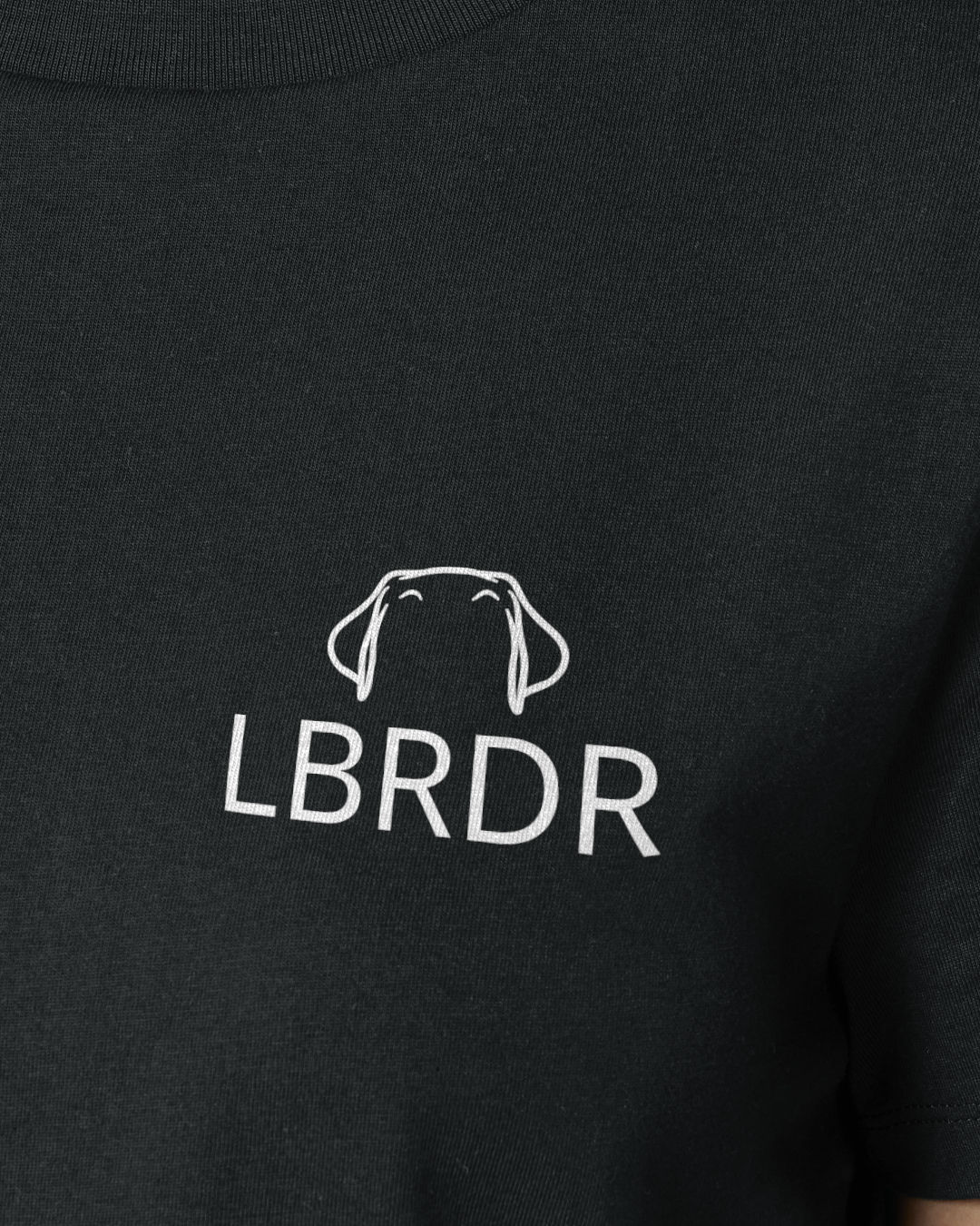 Detailbild – Metaplasmus - Labrador