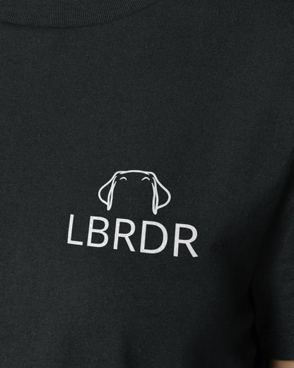Detailbild – Metaplasmus - Labrador