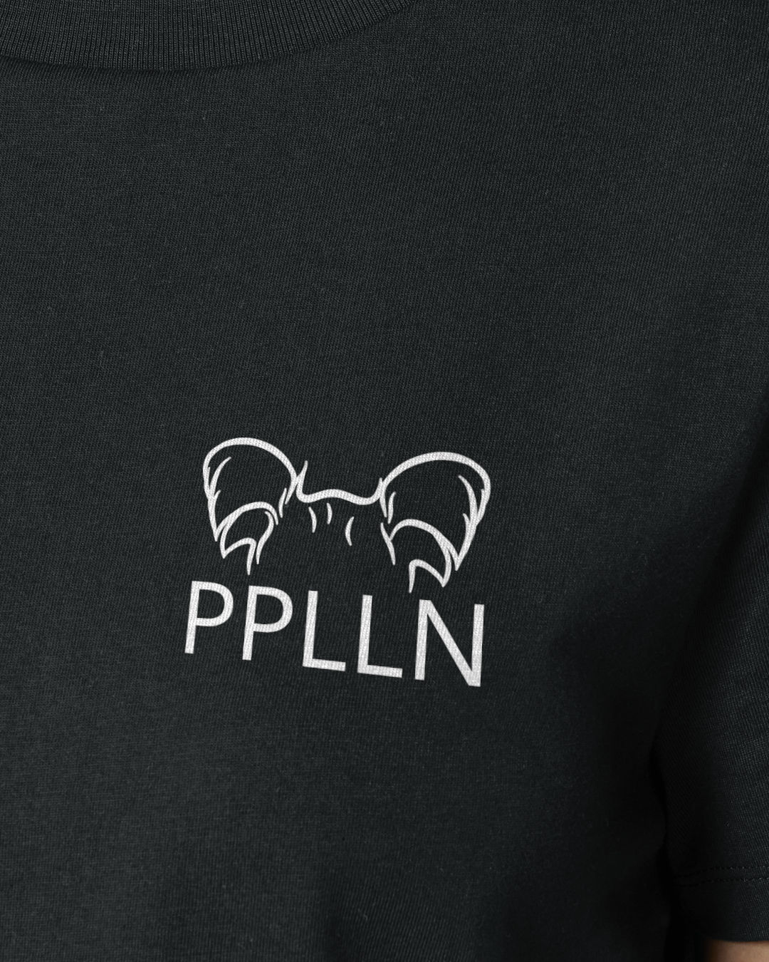 Detailbild – Metaplasmus - Papillon