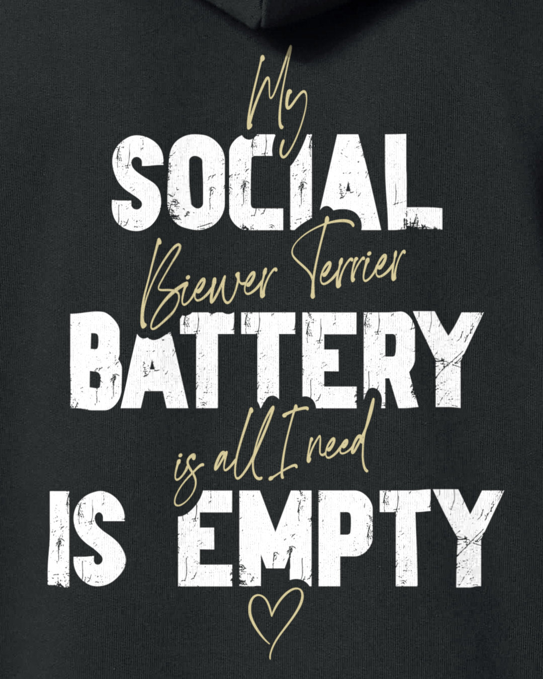 Detailbild – Social Battery Is Empty - Biewer Terrier