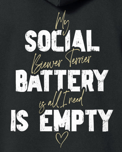 Detailbild – Social Battery Is Empty - Biewer Terrier