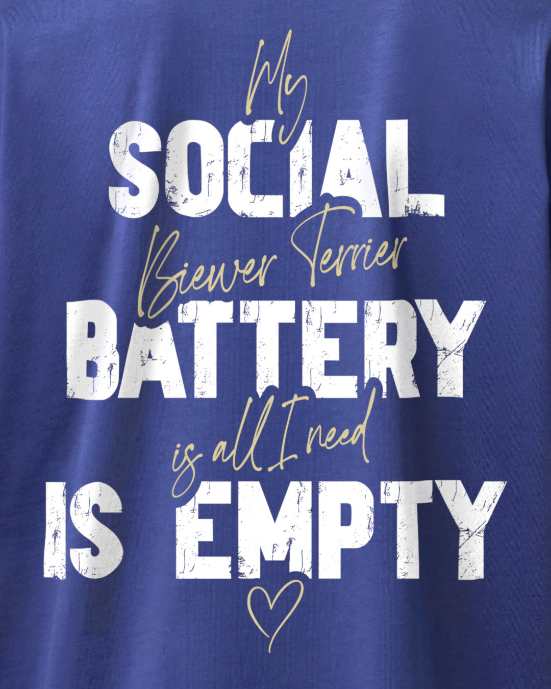 Detailbild – Social Battery Is Empty - Biewer Terrier