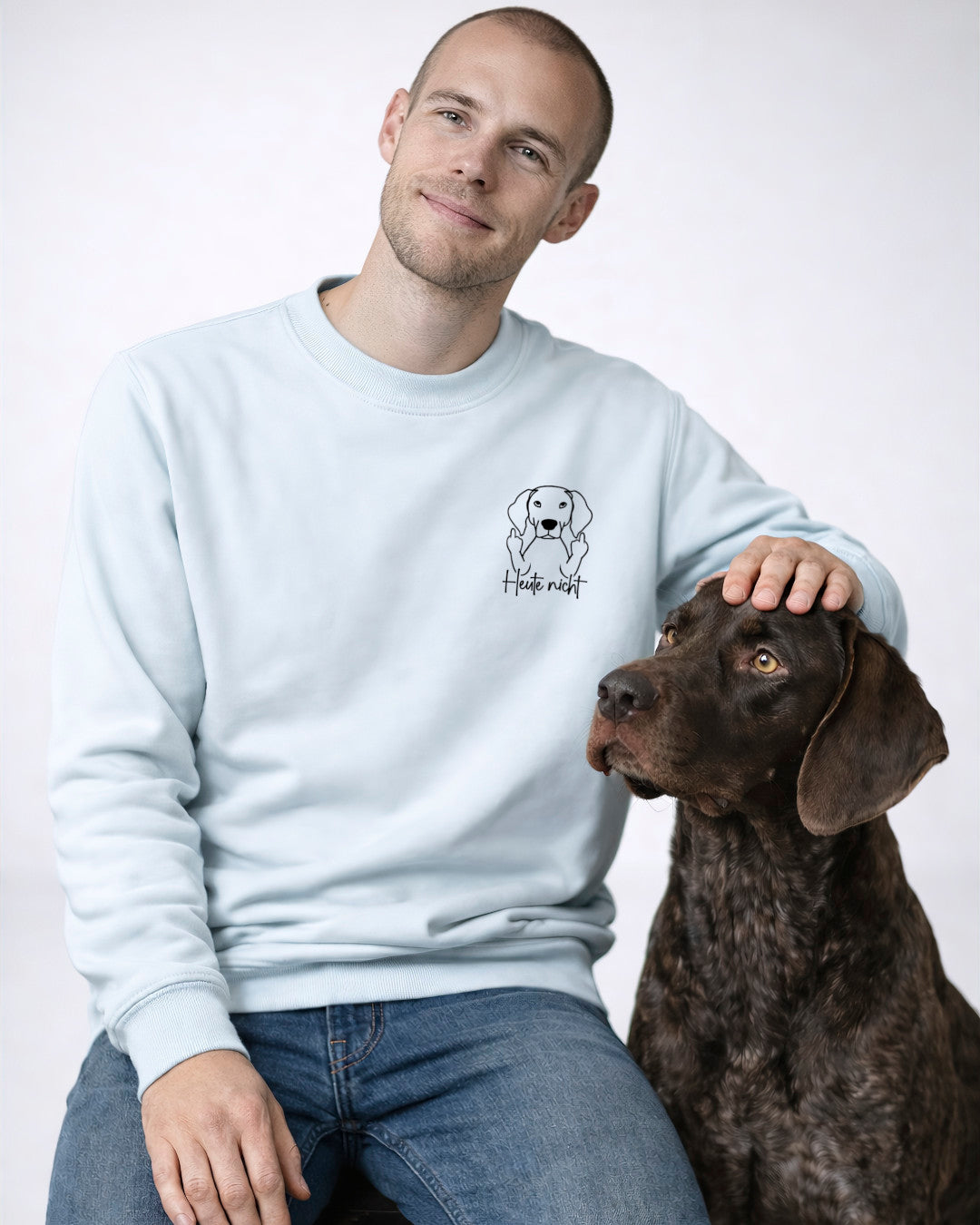 Heute nicht - Deutsch Kurzhaar - Model Beispiel