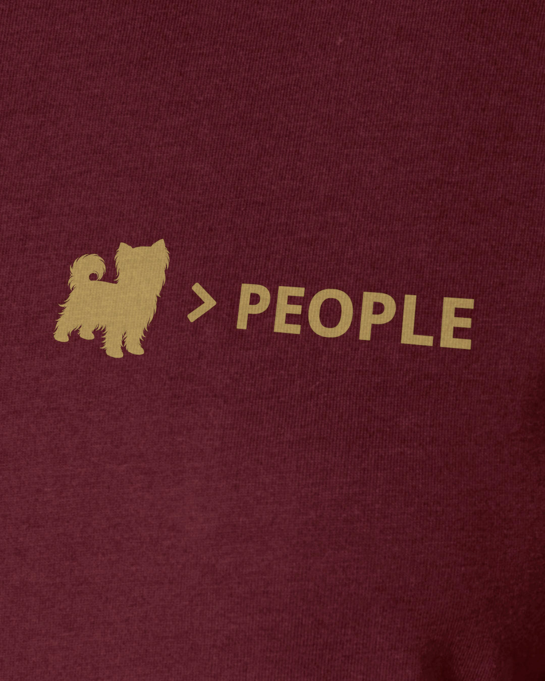Motiv nah - Biewer Terrier > People
