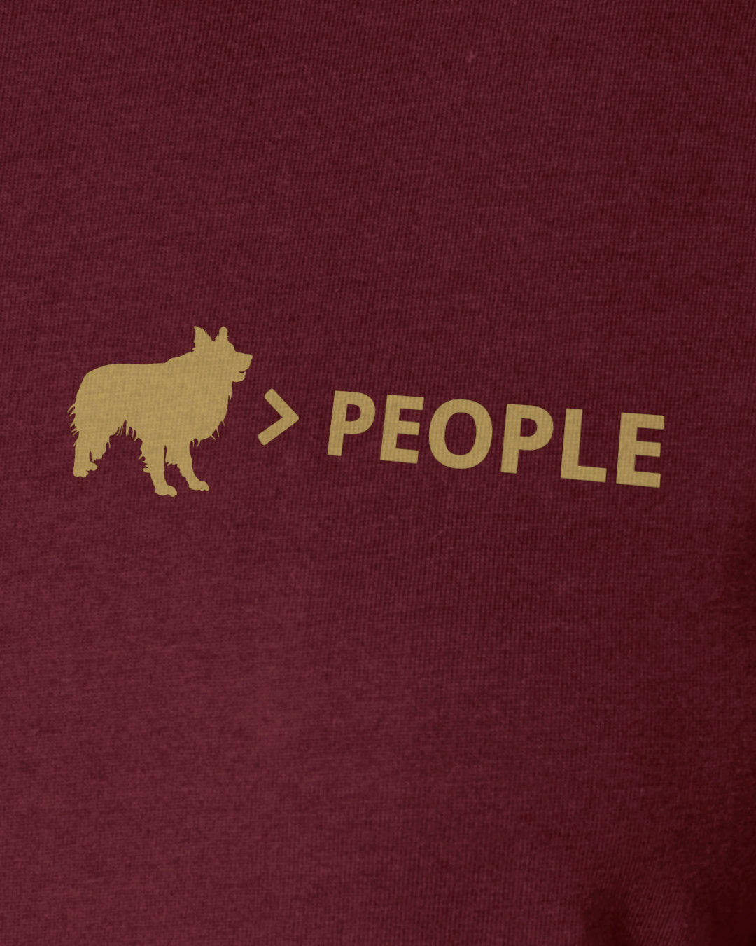 Motiv nah - Border Collie > People