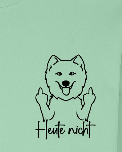 Heute nicht - Samojede - Motiv