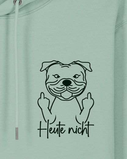 Motiv nah - Heute nicht - Staffordshire Bullterrier