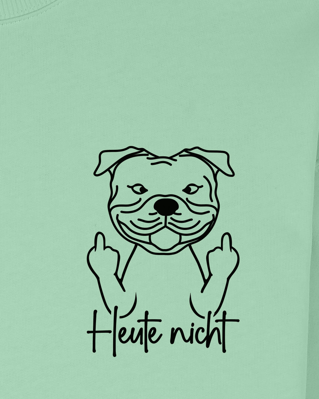 Motiv nah - Heute nicht - Staffordshire Bullterrier