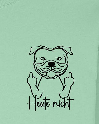 Motiv nah - Heute nicht - Staffordshire Bullterrier