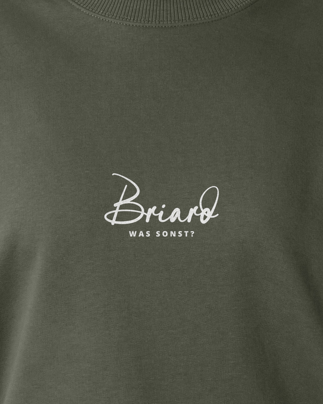 Was sonst? Briard - Motiv