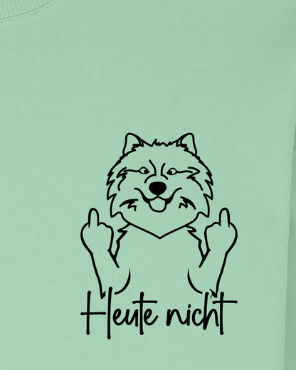 Heute nicht - Wolfsspitz - Motiv