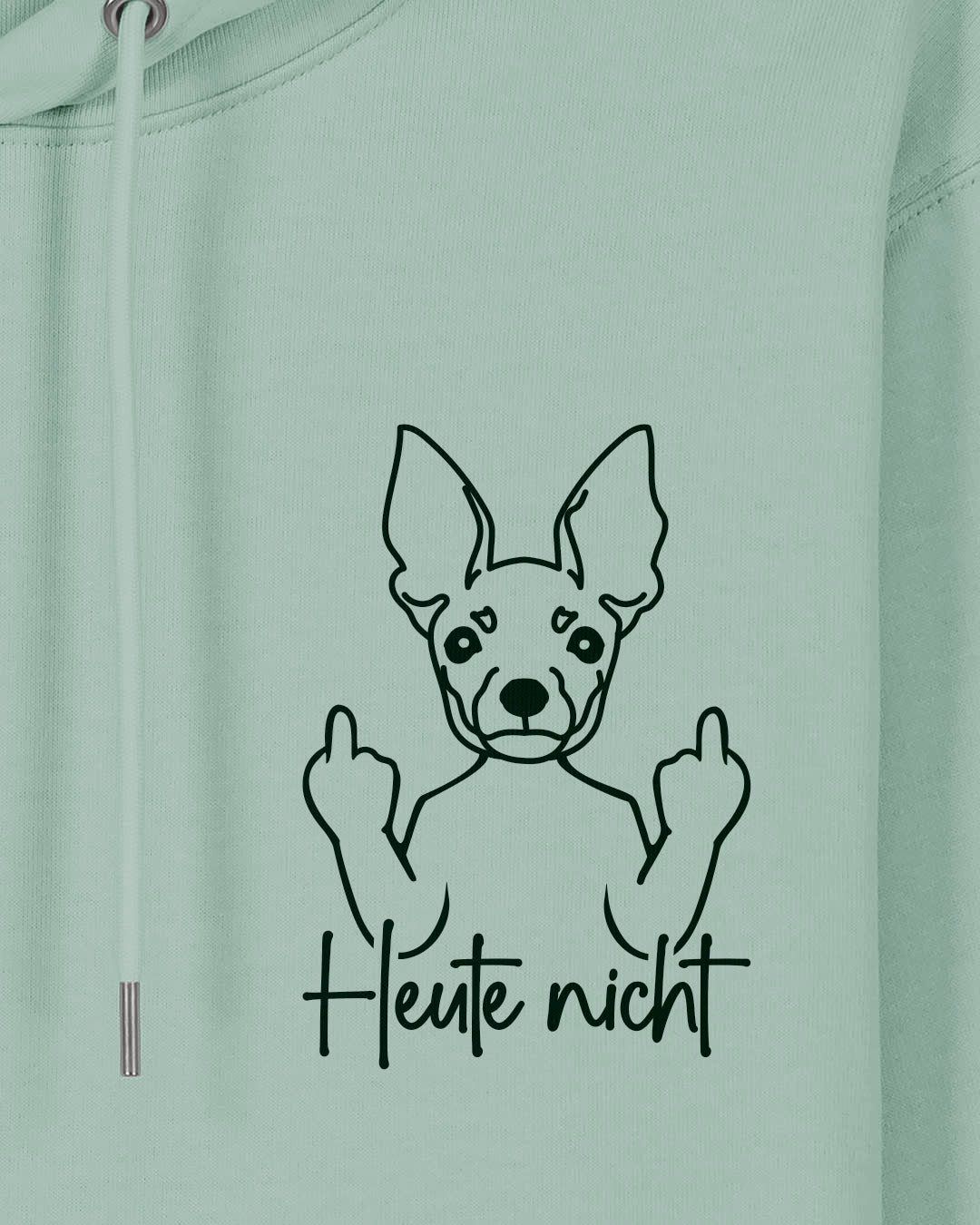 Heute nicht - Zwergpinscher - Motiv