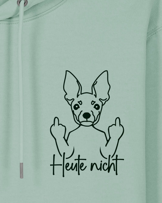 Heute nicht - Zwergpinscher - Motiv