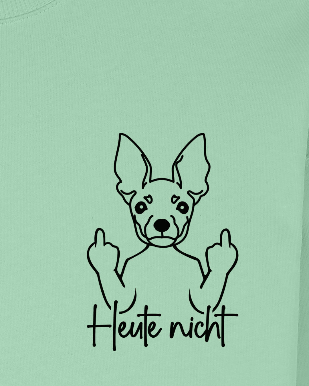 Heute nicht - Zwergpinscher - Motiv