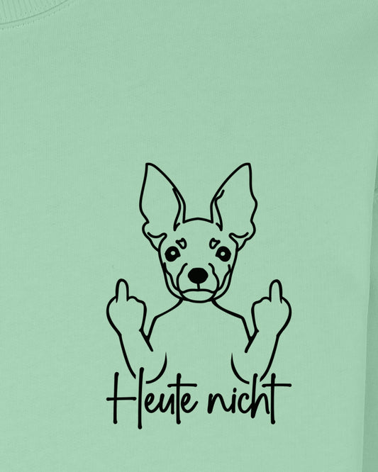 Heute nicht - Zwergpinscher - Motiv